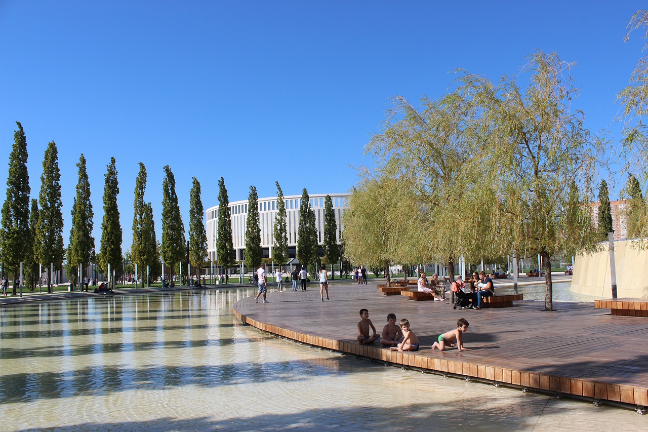 职业生涯的 职业生涯的