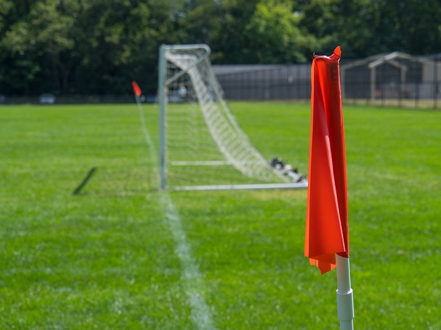 他们用自己 他们用自己