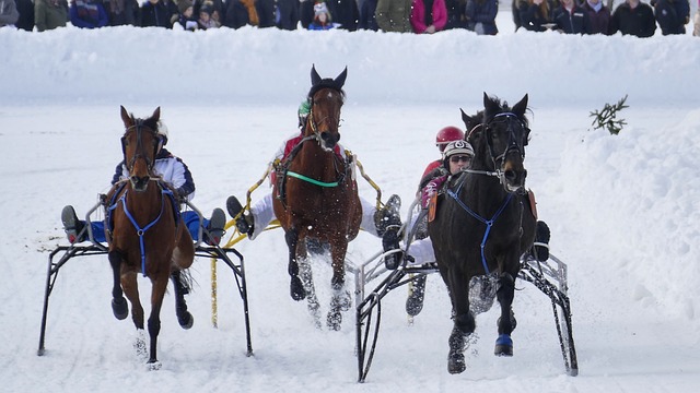粉丝对明星 粉丝对明星
