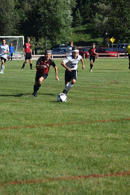 媒体与公众 媒体与公众