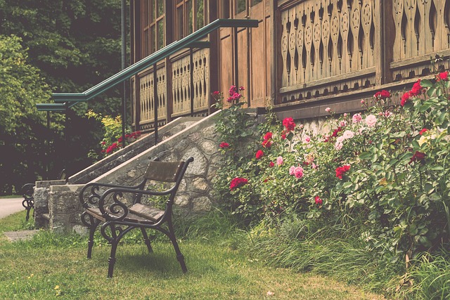 骋于足球赛 骋于足球赛