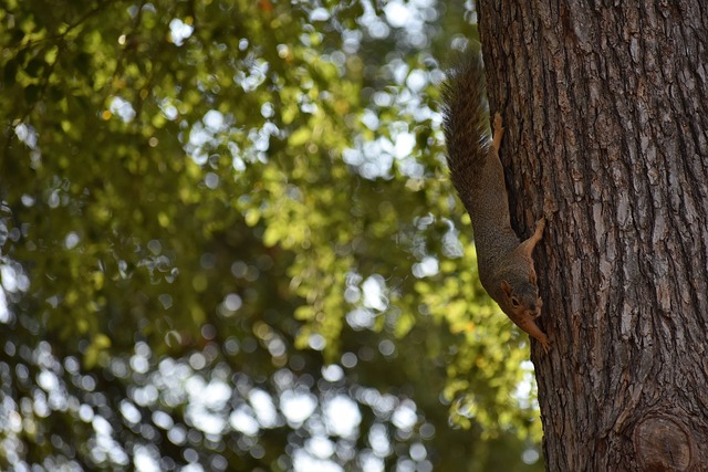 但随着比赛 但随着比赛