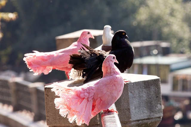 期待商竣程 期待商竣程