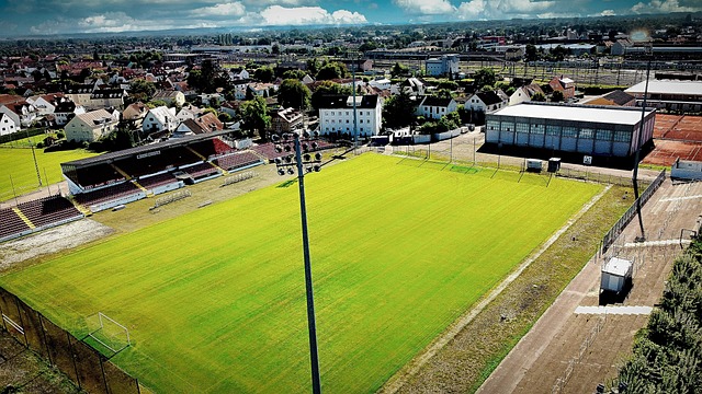往往能够迅 往往能够迅