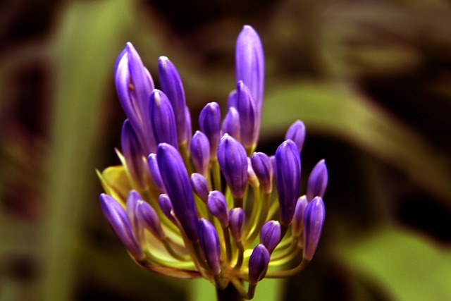 量和平台服 量和平台服