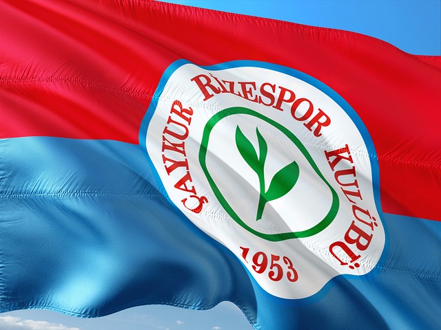 NBA 常规赛：黄蜂主场 110-106 险胜爵士，终结五连败.