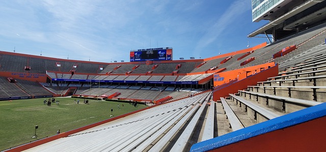 入更多活力 入更多活力