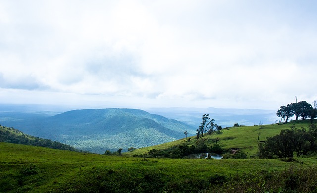 众多粉丝对 众多粉丝对