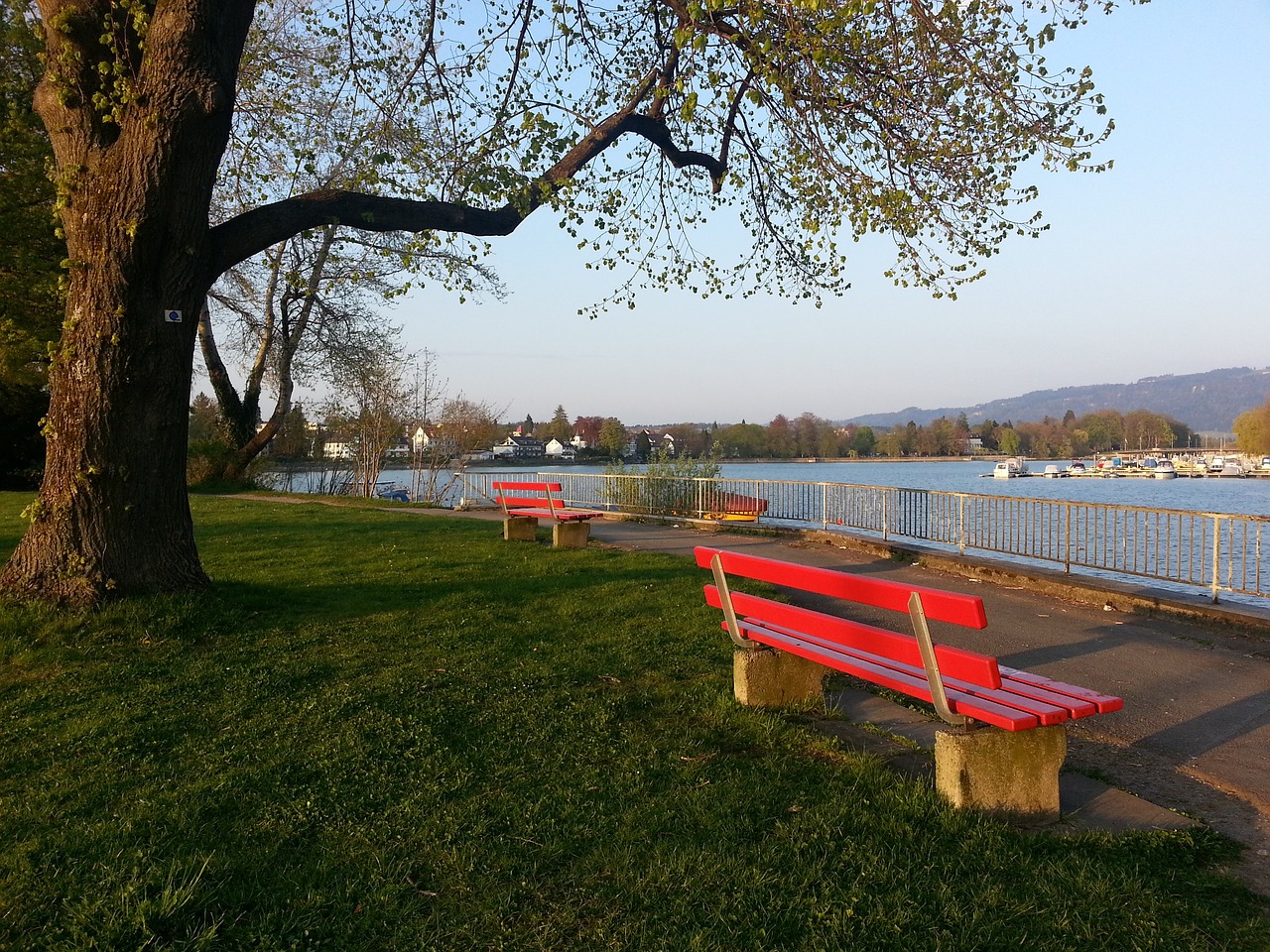 为她比赛中 为她比赛中