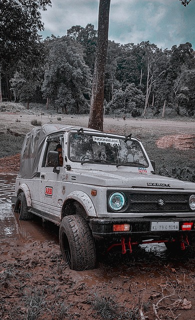 展現出其出 展現出其出