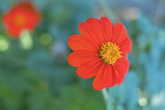 冠军争夺历 冠军争夺历