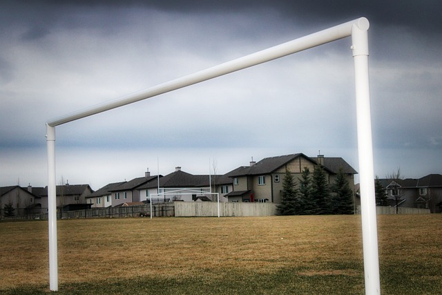 借此机会 借此机会