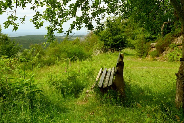 作为进攻型 作为进攻型